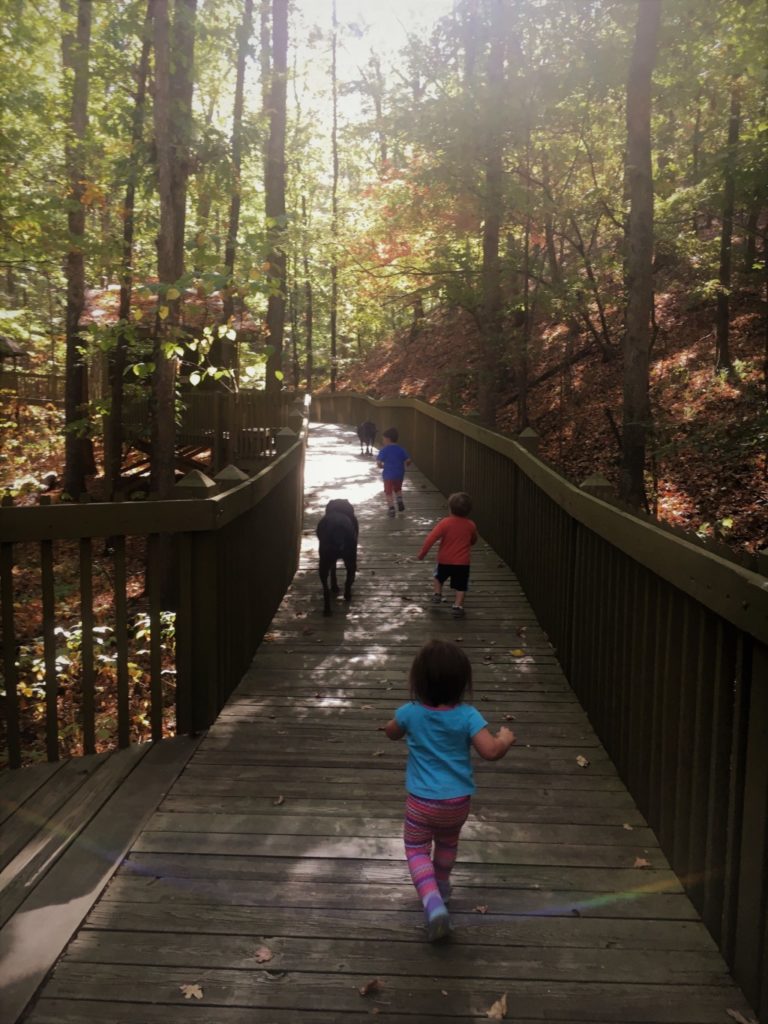 Oak Mountain State Park Family Hiking Trails