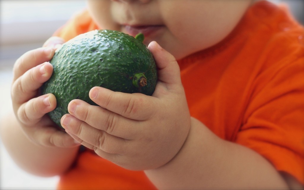 Encouraging babies to eat veggies - avocado