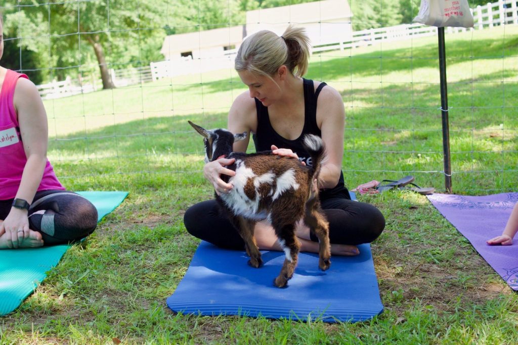 moms' day out - Goat yoga at Teshua Farms