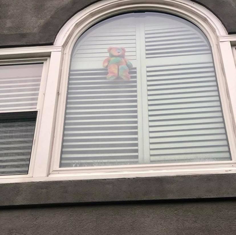 Quarantine adventure: put teddy bears in your window!