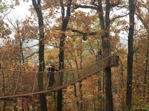 kid-friendly hiking trails in birmingham - suspension bridges