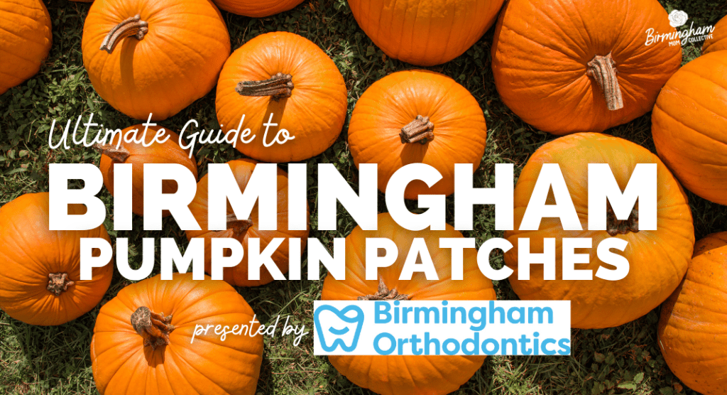 Birmingham pumpkin patches