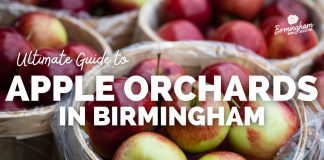 guide to apple orchards