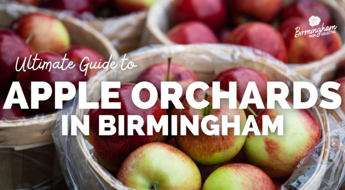 guide to apple orchards